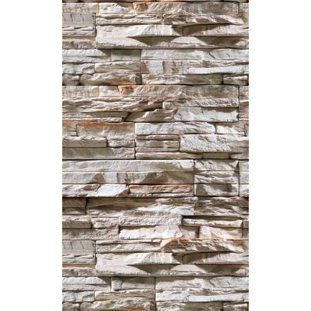 Фиброцементная плита Фаспан Дикий камень №1007 Вертикаль (1200х800х8 мм) купить в Гомеле
