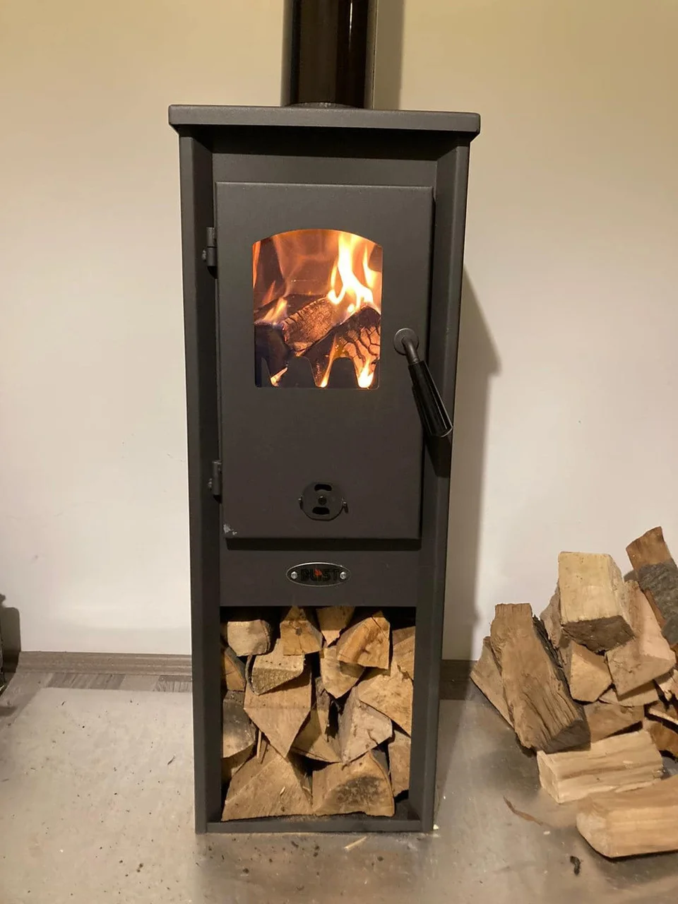 Печь-камин Blist Ekonomik Lux LM N стальная дверца Амазонка бай фото в Гомеле