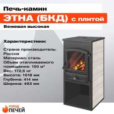 Недорогая печь-камин ЭТНА (Панорама) с плитой Амазонка бай фото в Гомеле