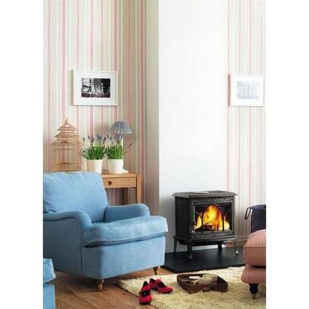 Чугунная печь камин Jotul F100 BP в Гомеле