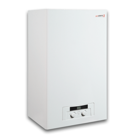 Газовый котел Protherm Пантера 25 KOV (atmo) в Гомеле