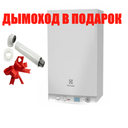 Газовый котел Electrolux GCB 24 Basic Space Duo Fi в Гомеле