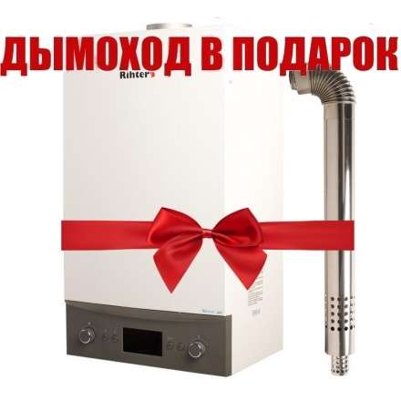 Газовый котел Rihters Econom 26 с дымоходом в Гомеле