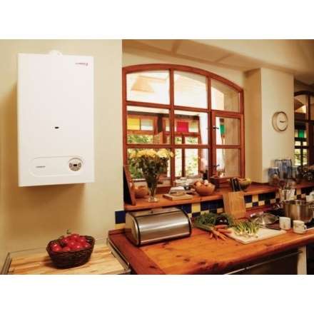 Газовый котел Protherm Тигр 24 KTZ в Гомеле