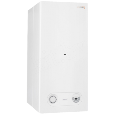 Газовый котел Protherm Тигр 24 KTZ в Гомеле